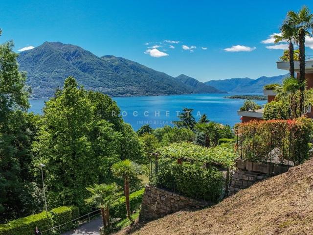 Immobilie kaufen in Minusio, Tessin