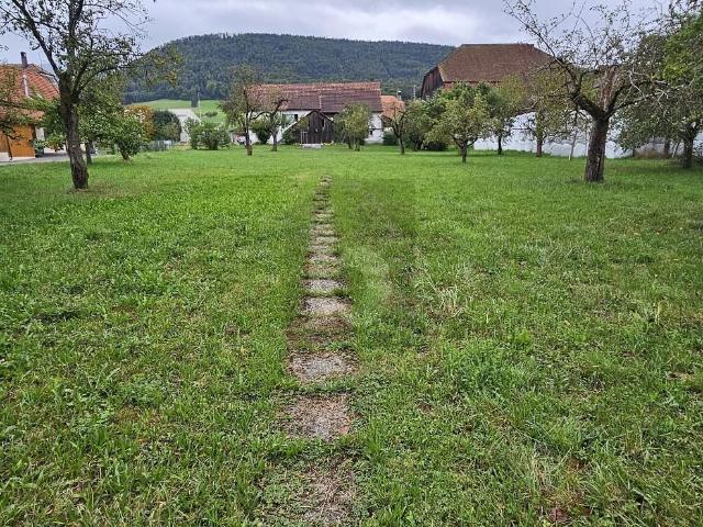 Immobilie kaufen in Val Terbi, Jura