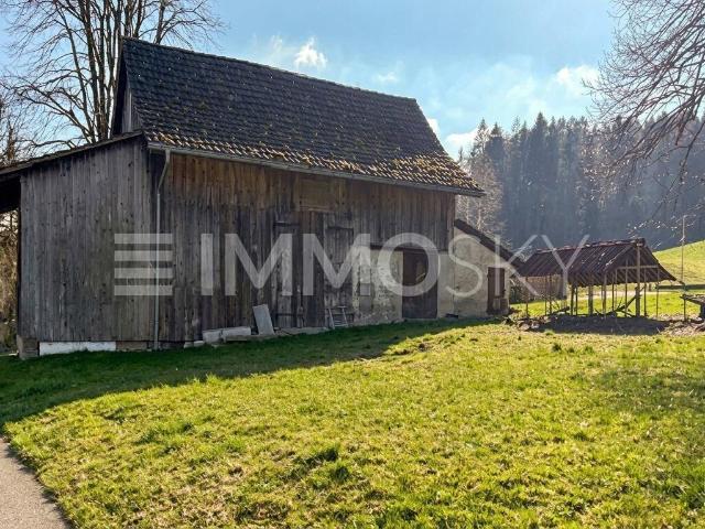 Immobilie kaufen in Jonatal, Wald (ZH)