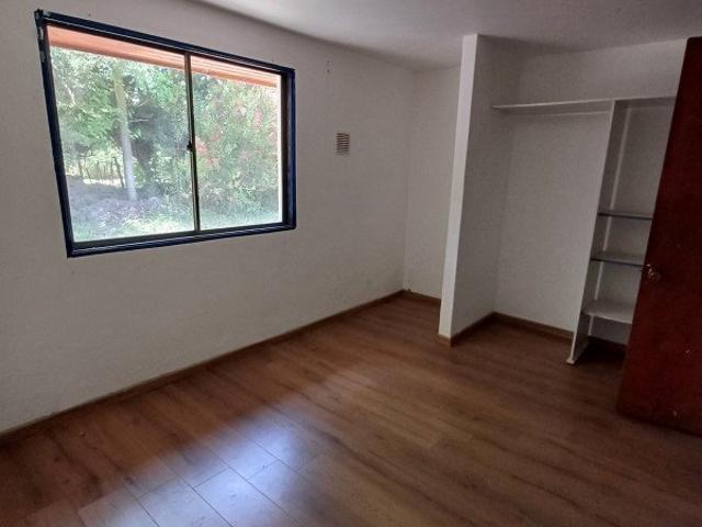 Buin, El arpa