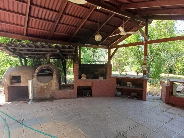 Buin, El arpa