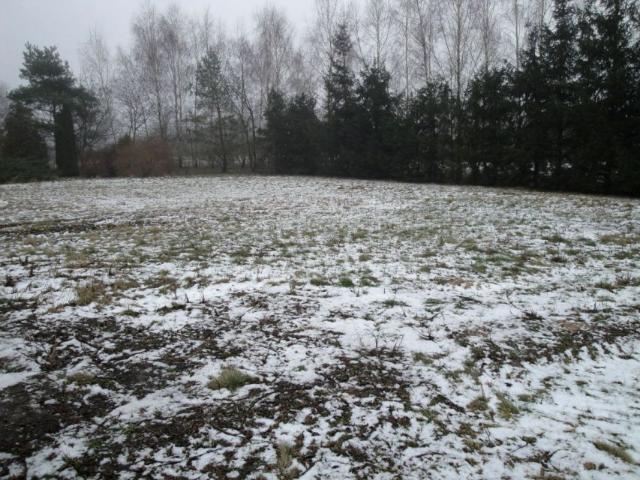 Grunt na sprzedaż w Buk, Wielkopolskie