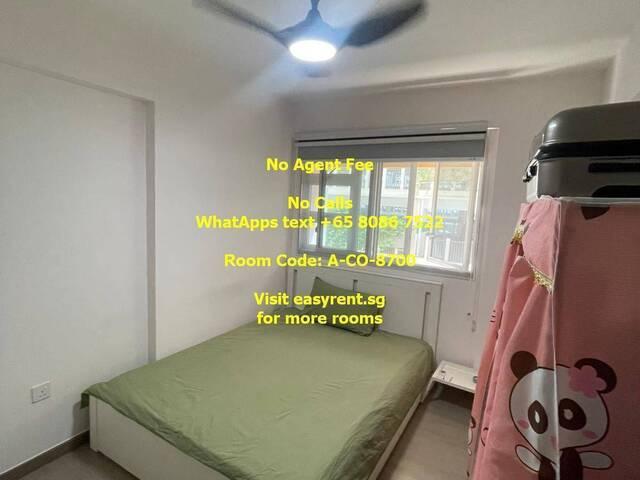 Room for rent