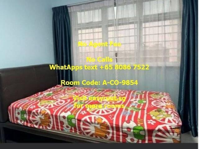 Room for rent