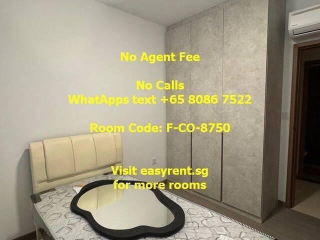 Room for rent
