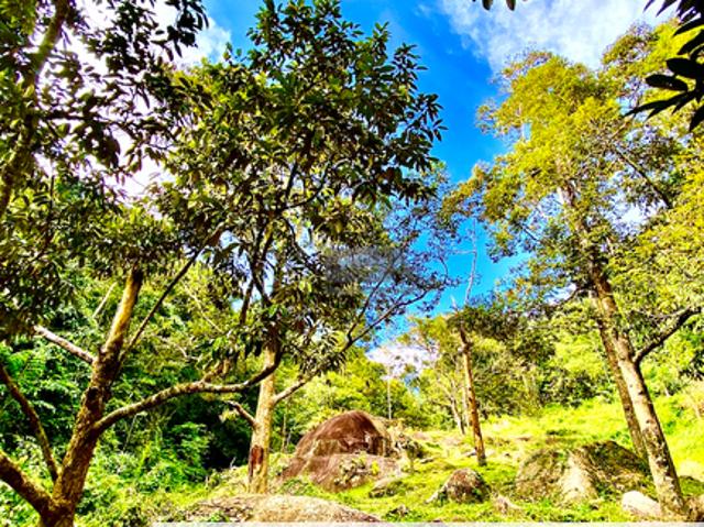 House for sale in Penang Hill