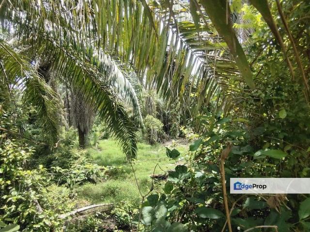 House for sale in Tanjong Sepat, Selangor