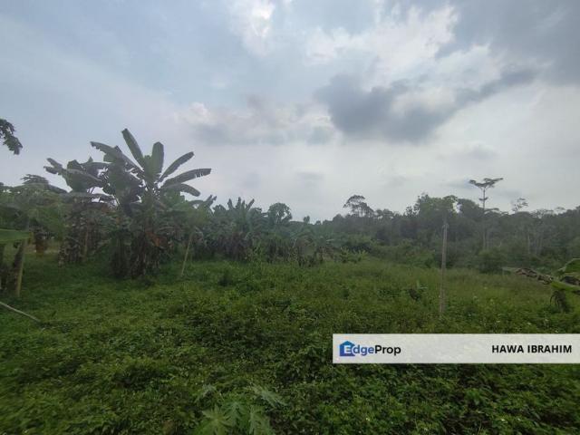 House for sale in Tanjong Sepat, Selangor