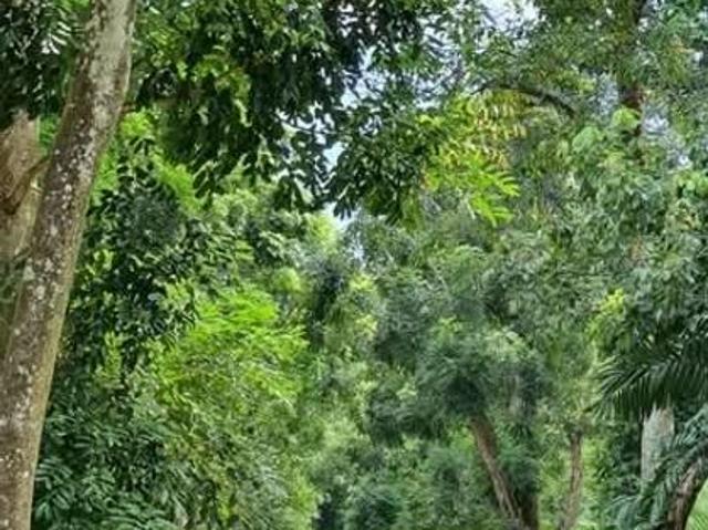 House for sale in Gita Bayu, Majlis Perbandaran Kajang