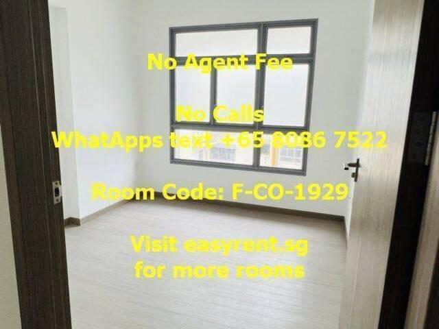 Room for rent