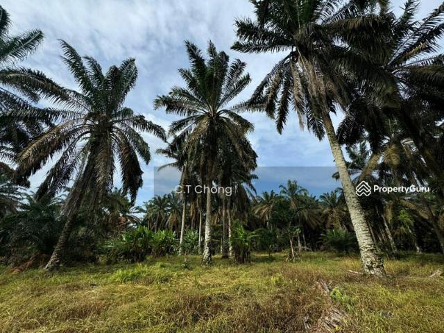 Residential House for sale in Johor