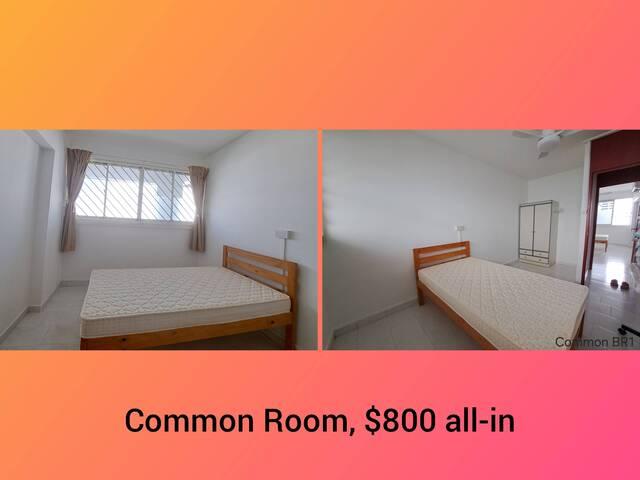 Room for rent