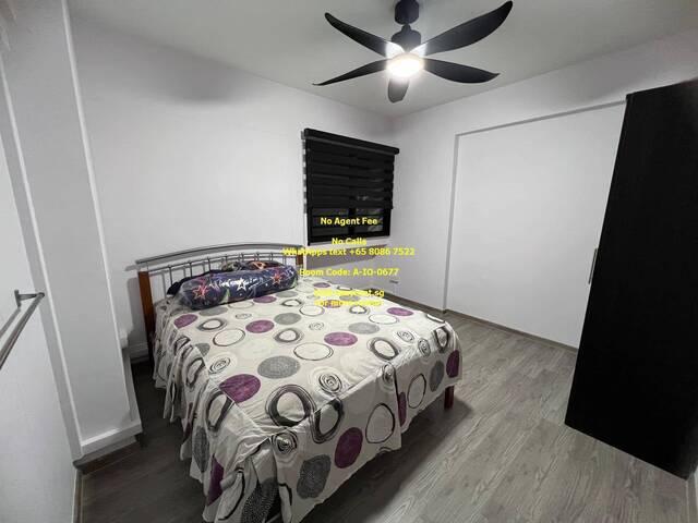 Room for rent