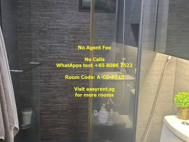 Room for rent