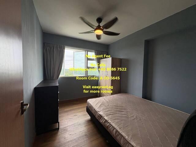 Room for rent