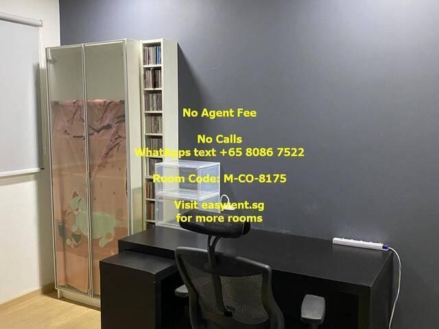Room for rent