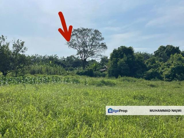 House for sale in Kampung Batu 9, Marang