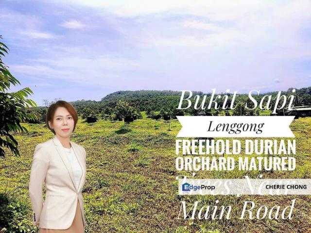 Shop for sale in Perak, Lenggong