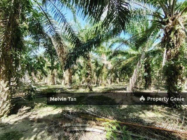 Property for sale in Malaka