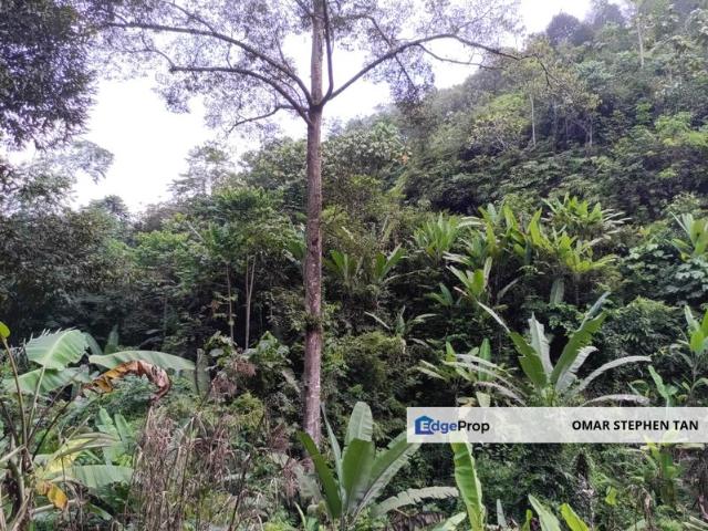 Shop for sale in Pahang