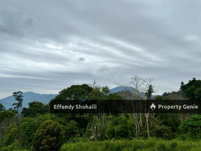 Property for sale in Pahang