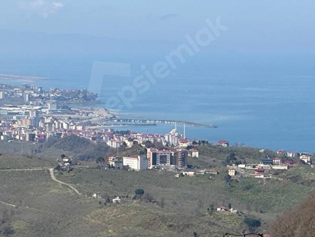 Duacıoğlu, Bulancak içerisinde satılık mülk