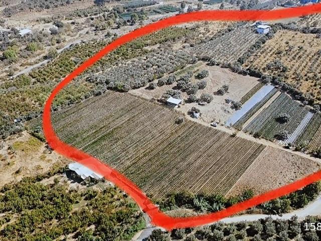 Turgutlu, Manisa içerisinde satılık mülk