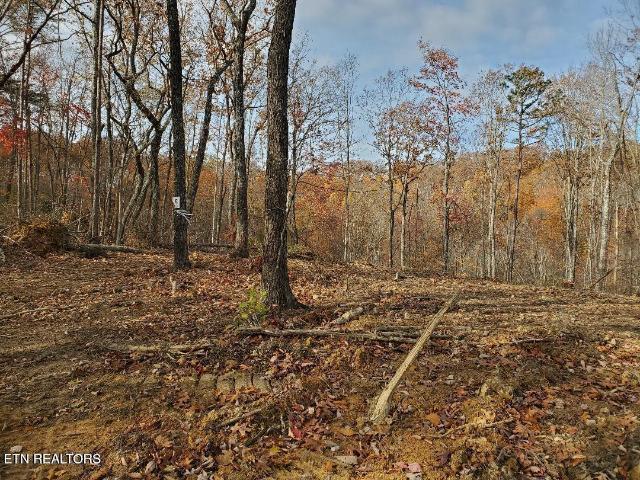 Land for sale in Tennessee