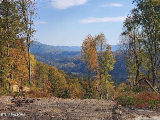 Land for sale in Tennessee
