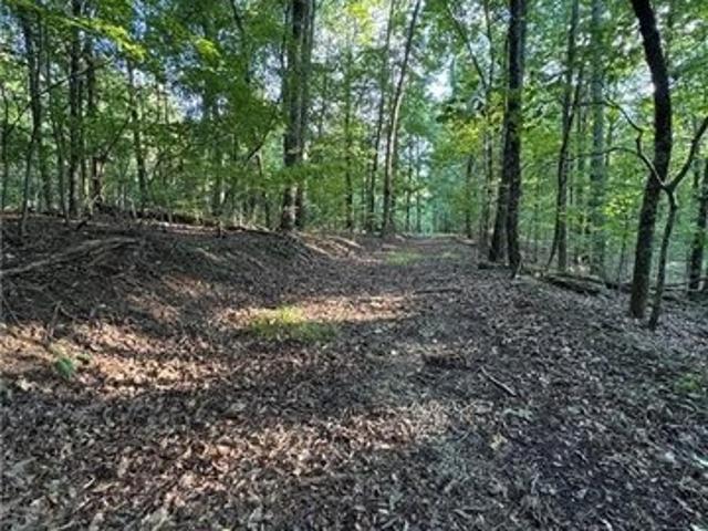 Land for sale in Pickens, Georgia