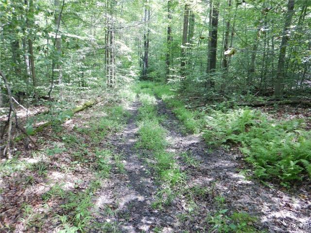 Land for sale in Newfield, New York