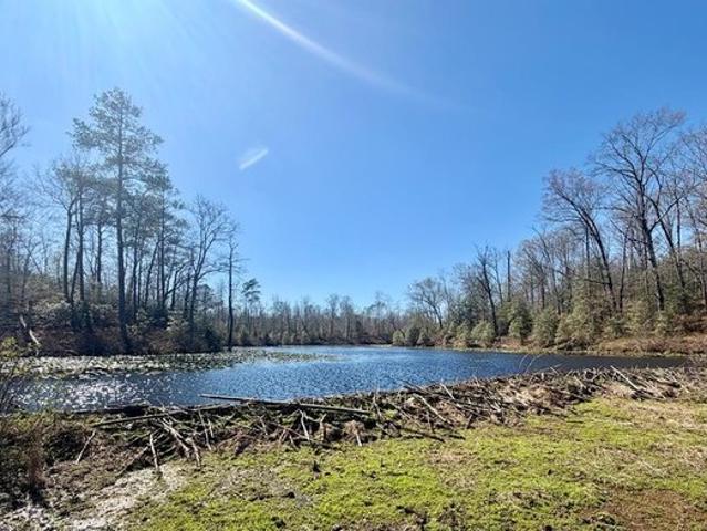 Land for sale in Virginia