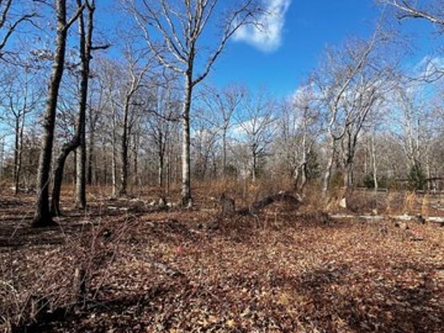 Land for sale in Tennessee