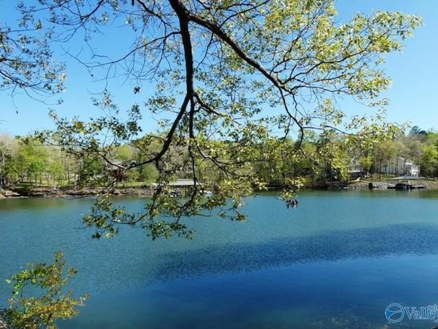 Land for sale in Double Springs, Alabama