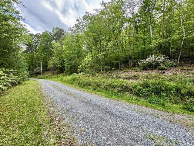 Land for sale in Blue Ridge