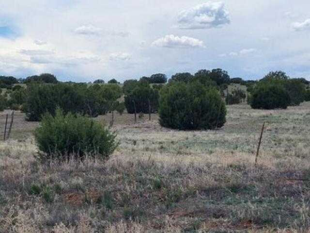 Land for sale in Moriarty, Torrance County