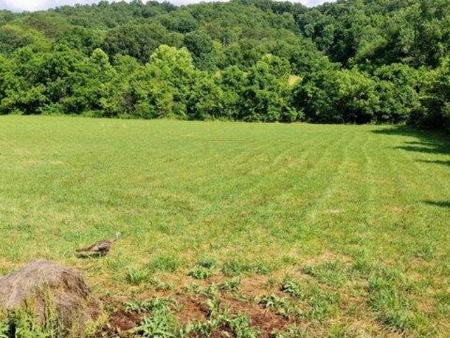 Land for sale in Tennessee