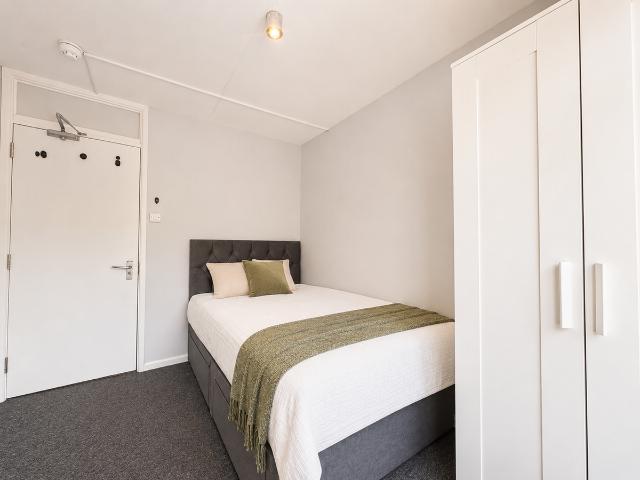 Room for rent in Newtown, Reading