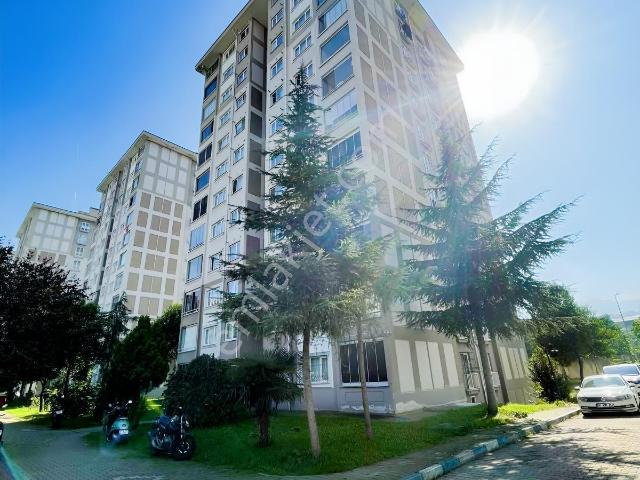 Kuzey Yıldızı Mahallesi, Canik içerisinde kiralık mülk