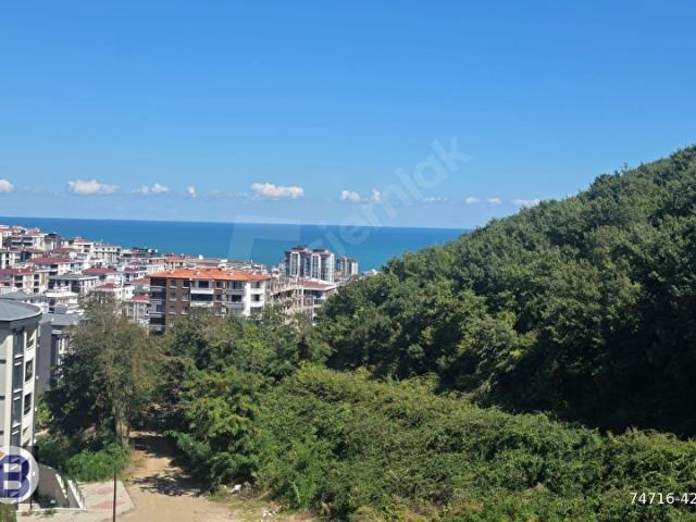 Atakum, Samsun içerisinde satılık mülk