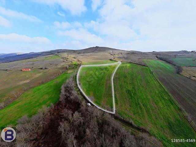 Karacaarslan, Kavak içerisinde satılık Arsa