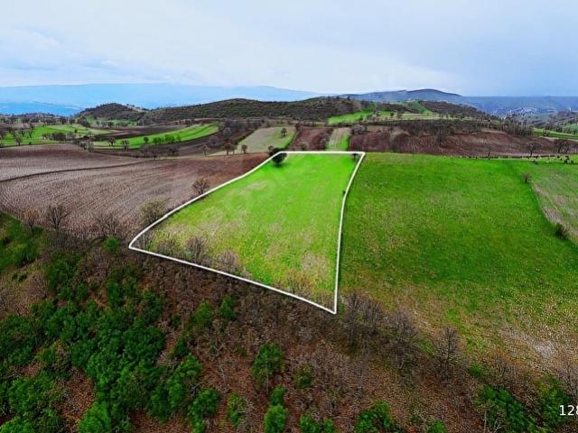 Yeşilyurt, Taşova içerisinde satılık Arsa