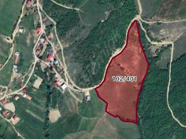Karacaarslan, Kavak içerisinde satılık Arsa