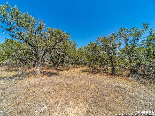 Land for sale in Bulverde, Texas