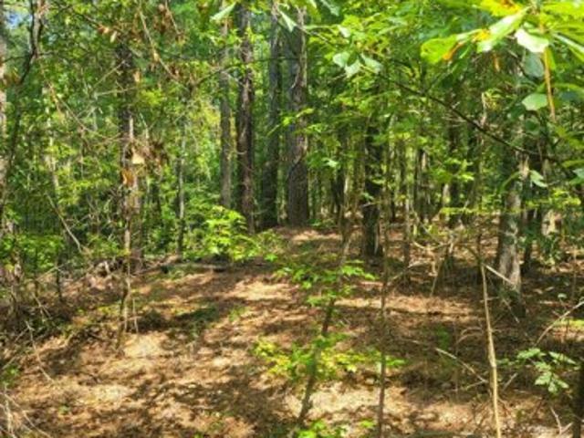 Land for sale in Appling Land for sale in Appling