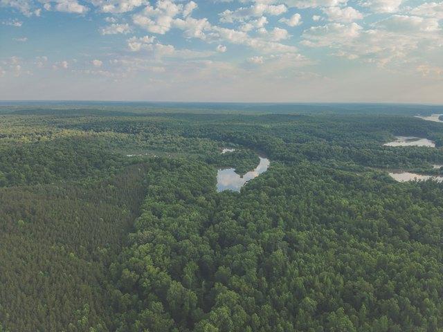 Land for sale in Tennessee