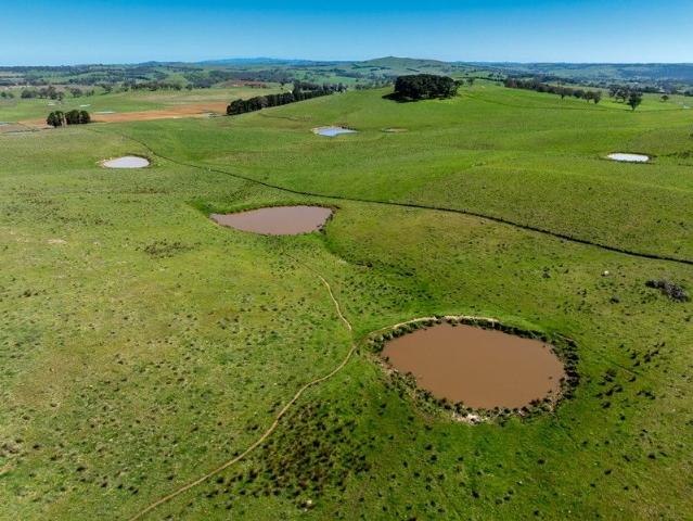 Cottage for sale in Newbridge, New South Wales