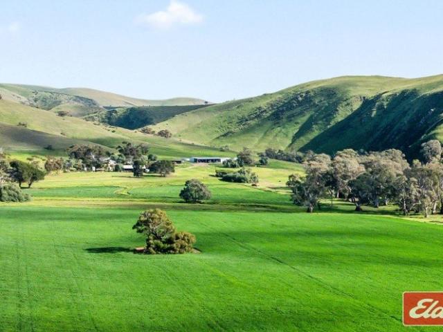 Cottage for sale in Angas Valley, South Australia