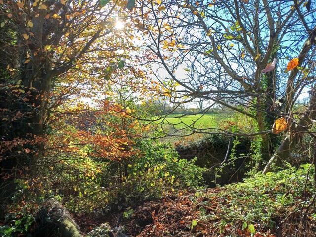 Bungalow for sale in Salwayash, East Dorset