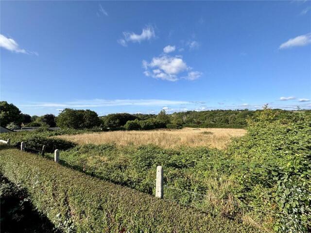 Bungalow for sale in Cattistock, East Dorset